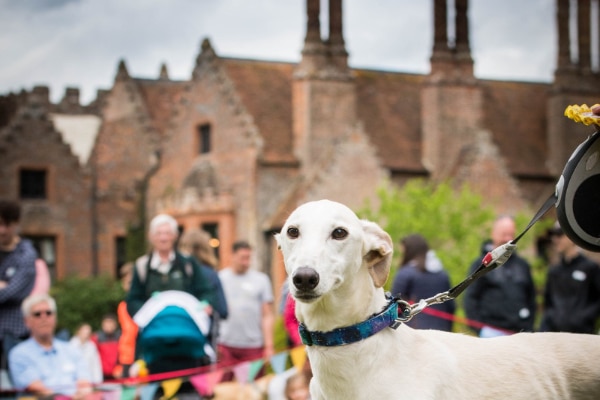 Chenies Manor House Dog Show