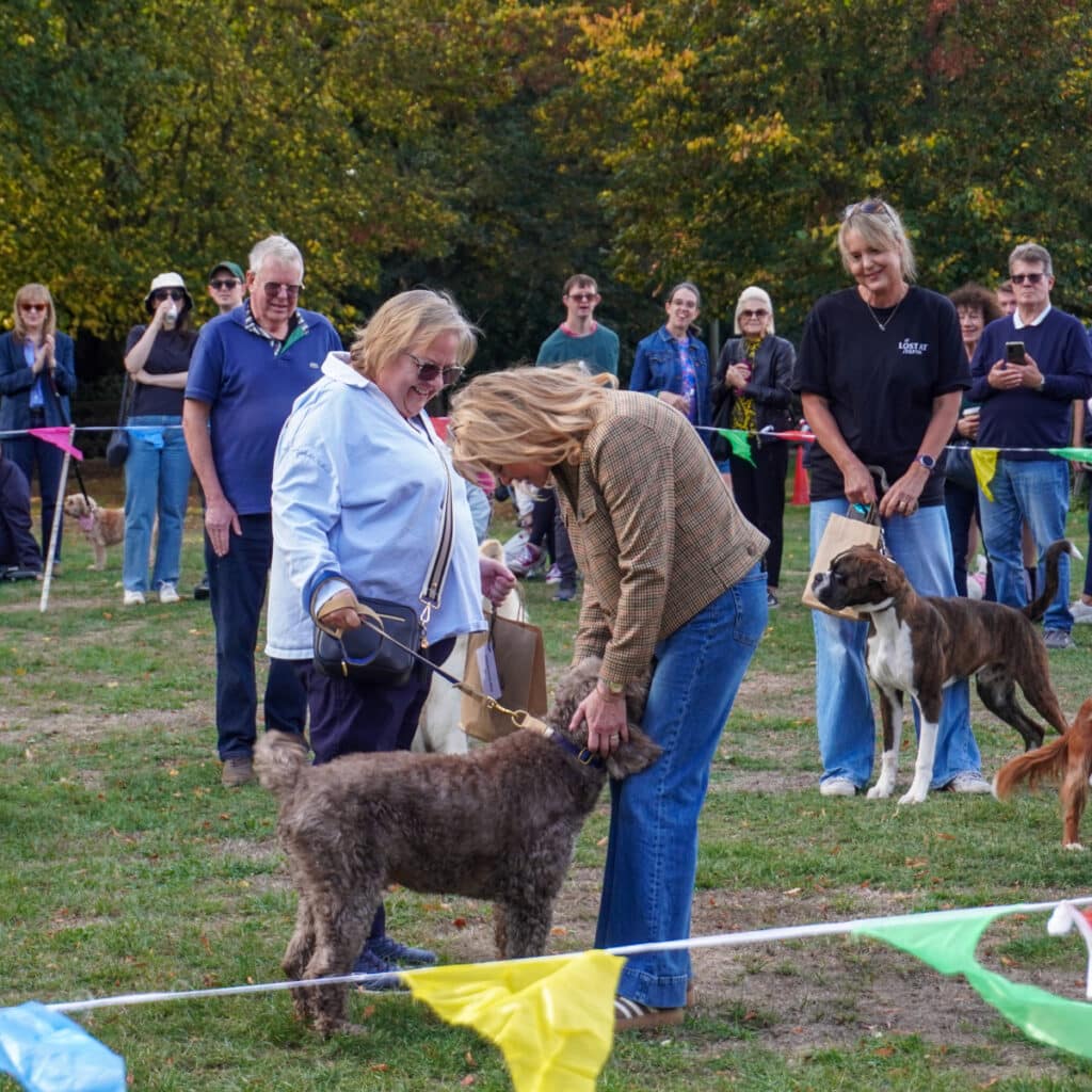 Dog Show