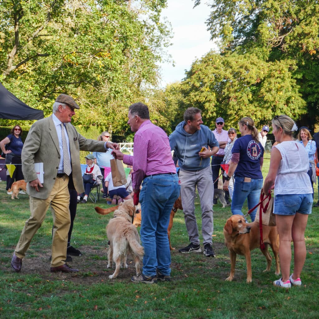 dog show1