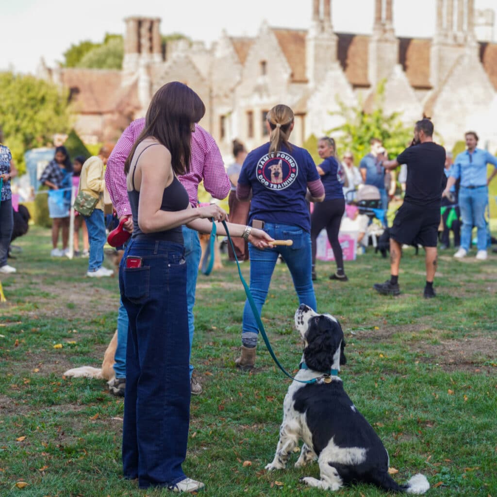 A Fun Afternoon for Dogs and Their Owners