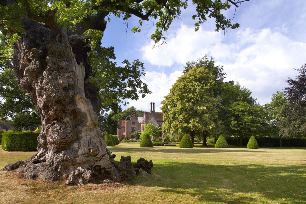 Chenies Manor Elizabeth Oak view to house