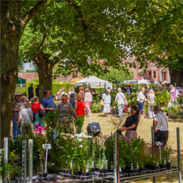 plant fair